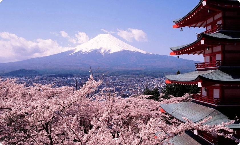 Cherry Blossom Viewing Spots in Japan
