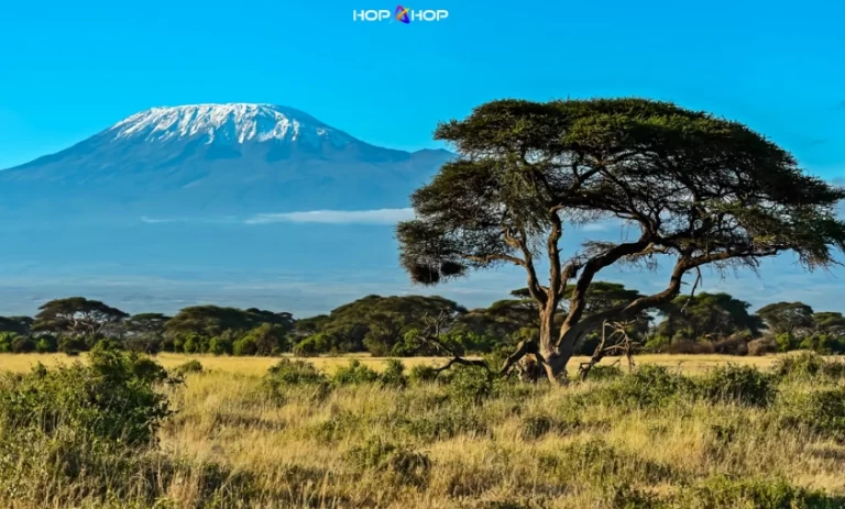 Kenya Itinerary with hopahop