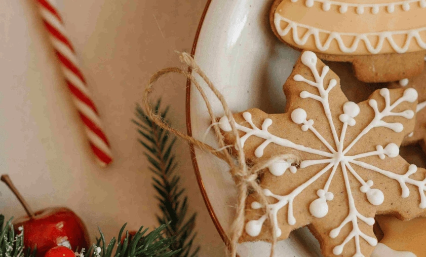 Best Places to Visit in India for Christmas