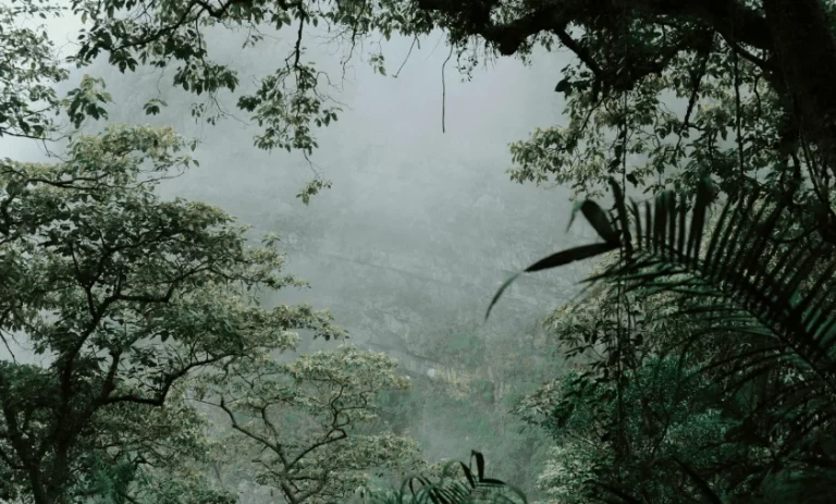 Suriname’s Best Eco-Tourism Adventures