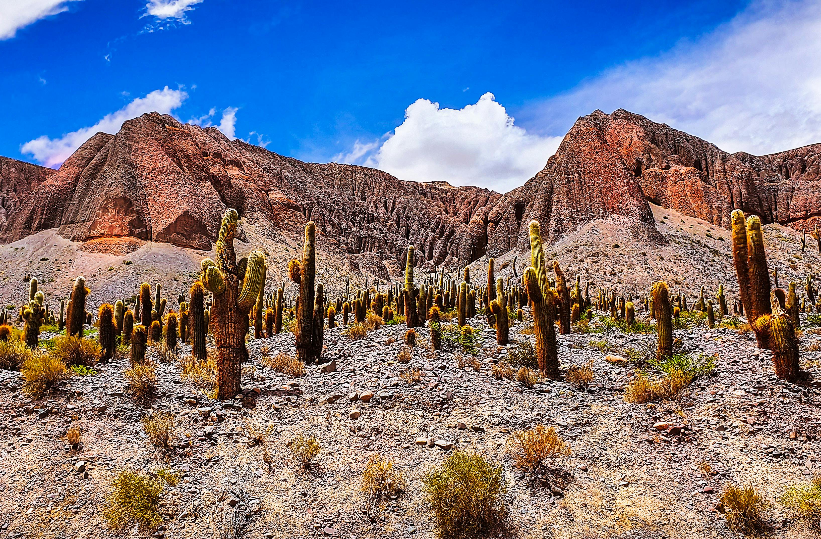 Argentina’s Hidden Gems: Off-the-Beaten-Path Destinations You Need to Visit