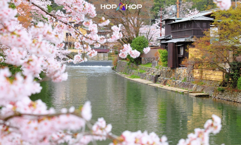 Things to Do in Kyoto