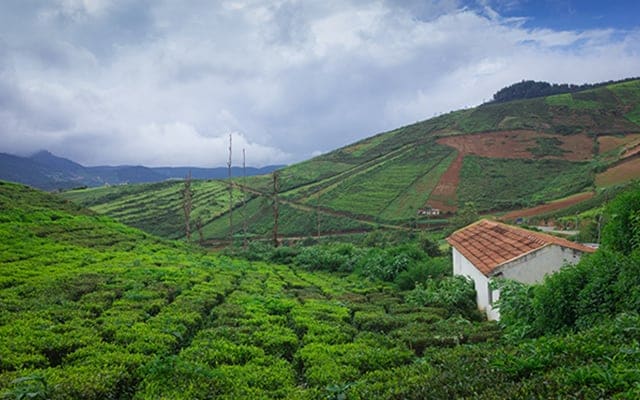 Coorg