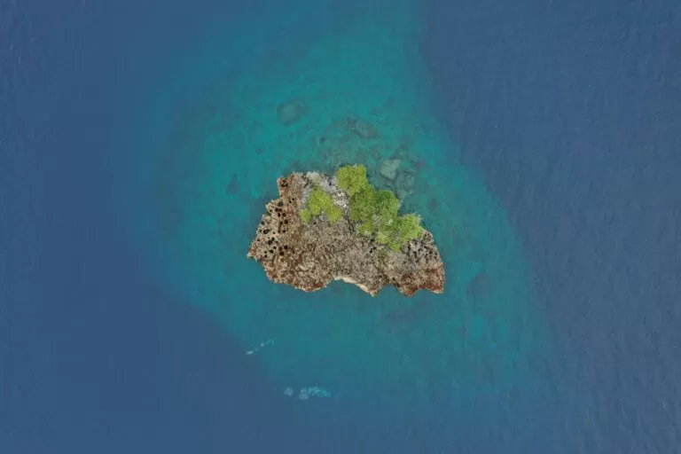 The Hidden Gem of the Pacific