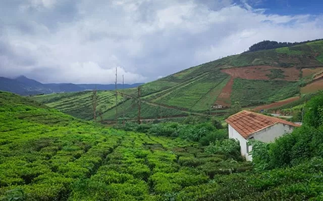 Coorg